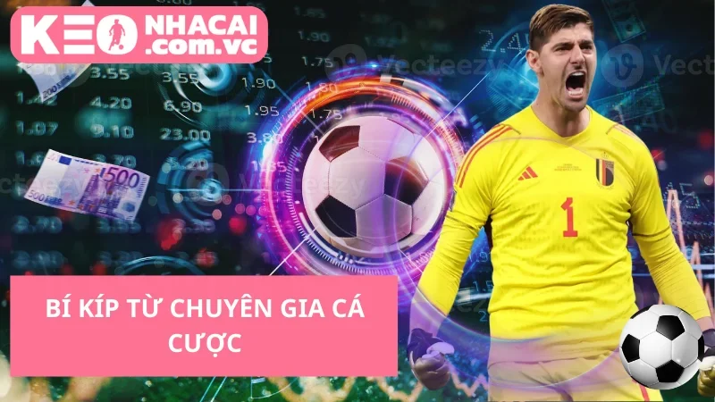 Bí Kíp Từ Chuyên Gia Cá Cược