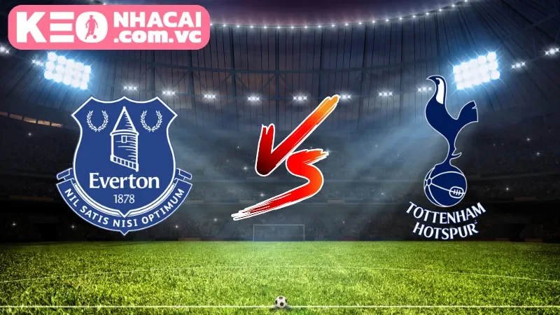 Tổng quan góc nhìn toàn cảnh về trận Everton vs Tottenham Hotspur
