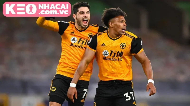 Đánh giá chuyên sâu - Phân tích đội hình & Lực lượng theo Kèo Nhà Cái VC