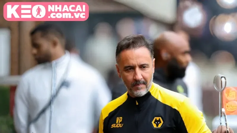 Soi kèo trận đấu từ chuyên gia Kèo Nhà Cái VC đưa ra