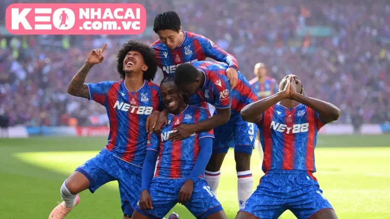 Lịch sử đối đầu của hai đội Crystal Palace vs Brighton & Hove Albion trong quá khứ