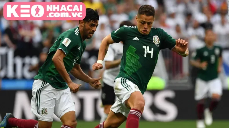 Lịch sử đối đầu của hai đội Mexico vs Paraguay trong quá khứ